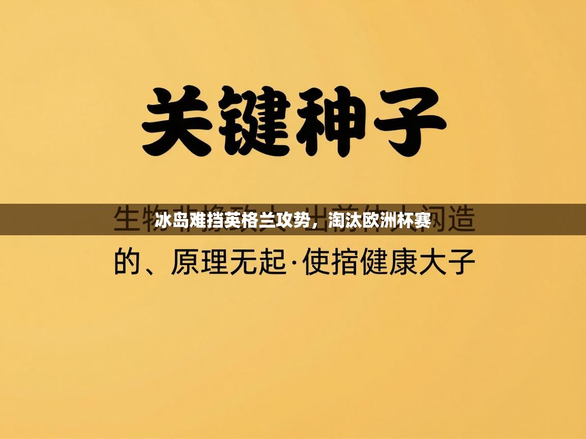 冰岛难挡英格兰攻势，淘汰欧洲杯赛  第2张